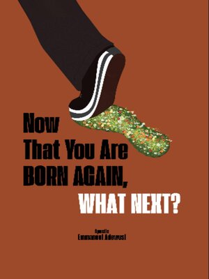 cover image of Now That You Are Born Again, What Next?